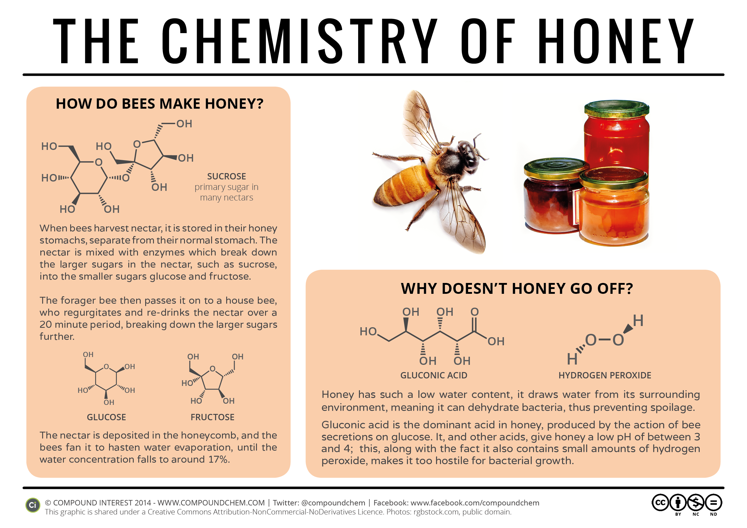How is organic honey produced? What makes it different from – and