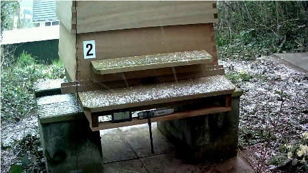 starting to snow beehive